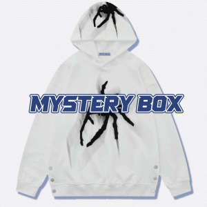 10th Anniversary Mystery Box: 2 Y2K Aesthetic Hoodies for Trendy Outfits