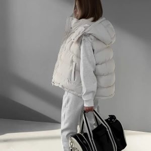 Chic Frosty Fusion Puffer Vest for Y2K Aesthetic and Cozy Layering in Style