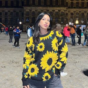 Sunflower Flocking Print Y2K Aesthetic Sweater - Cute and Comfy for Every Occasion